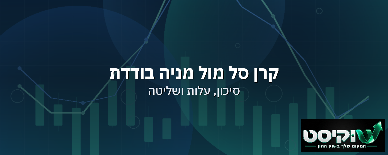 קרן סל מול מניה בודדת: מה באמת שונה — סיכון, עלות ושליטה